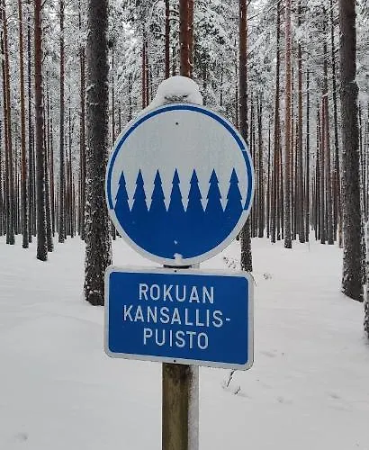 Rokuan Unelma Ferienhaus *